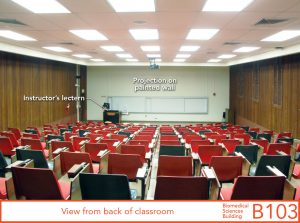 View from back of classroom