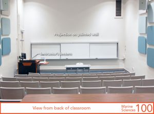 View from back of classroom