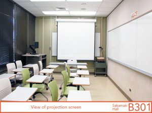 View of projection screen