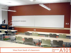 View from back of classroom