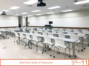 View from back of classroom
