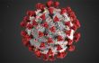 COVID-19 Virus