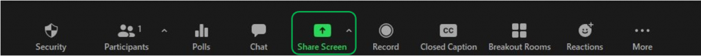 Zoom Session Buttons