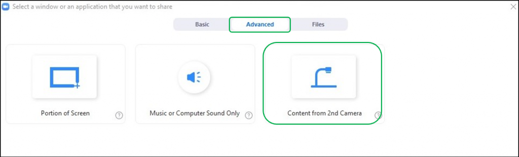 Zoom Share Screen Advanced Options